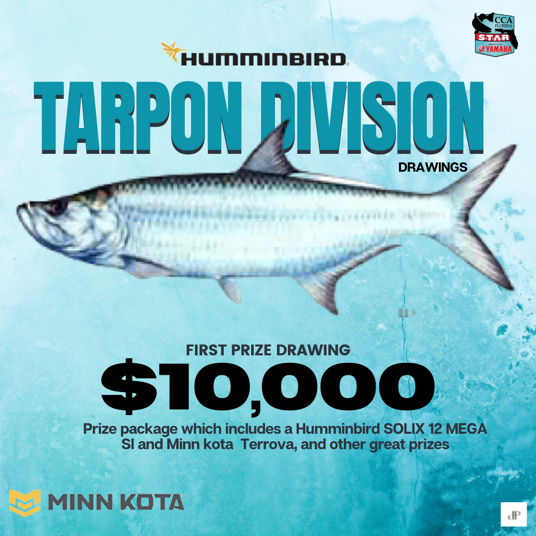 Tarpon